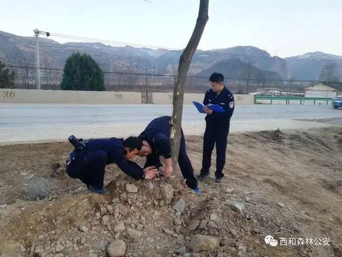 甘肃西和县爆料事件最新,揭开乡村乱象背后的真相 第3张 甘肃西和县爆料事件最新,揭开乡村乱象背后的真相 第3张